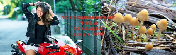 скорость Зеленодольск