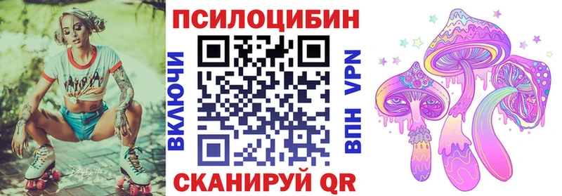Галлюциногенные грибы Psilocybine cubensis  Купить  Донской 